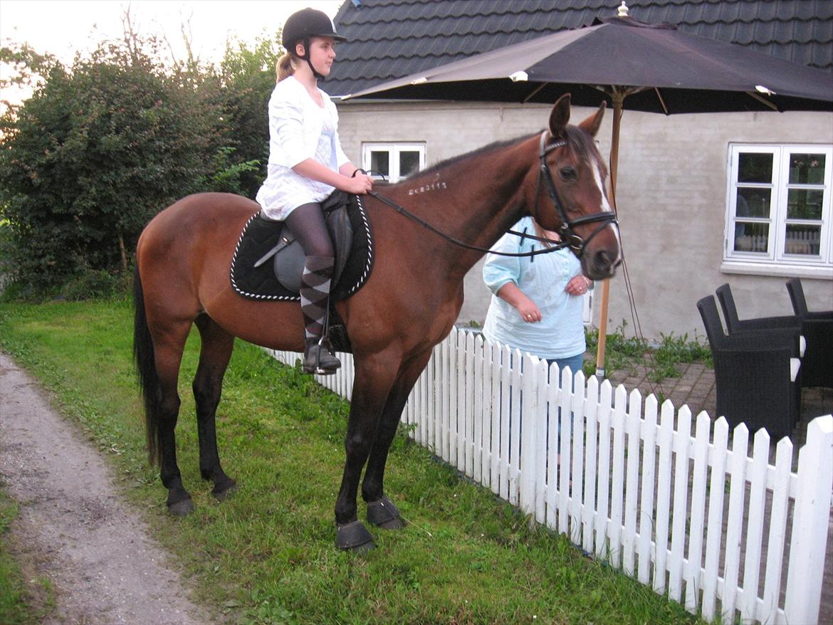 Traver Pampas Crown billede 16