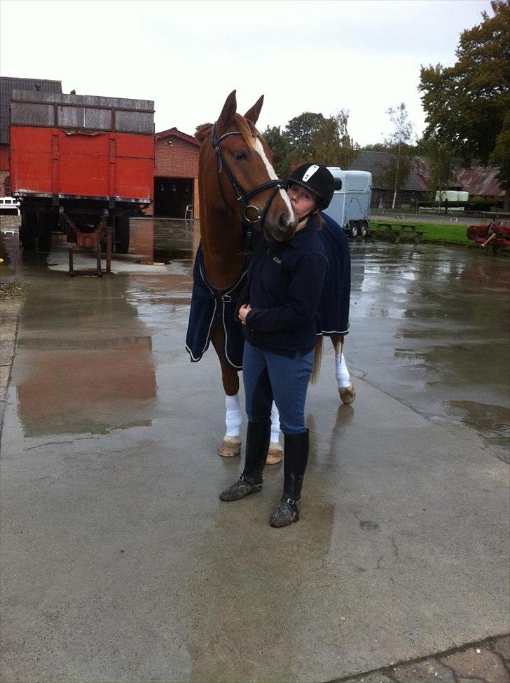 Anden særlig race Lucky Diamond  billede 11