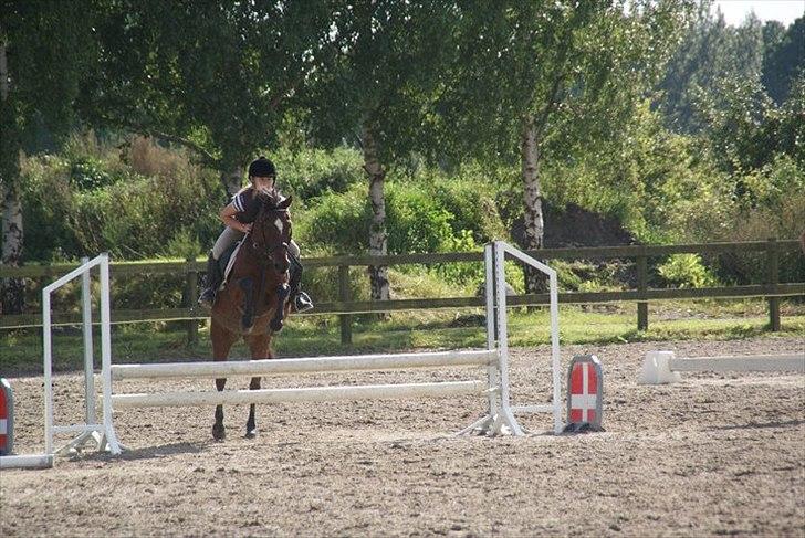 Anden særlig race Jackpot billede 10