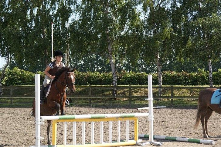 Anden særlig race Jackpot billede 11