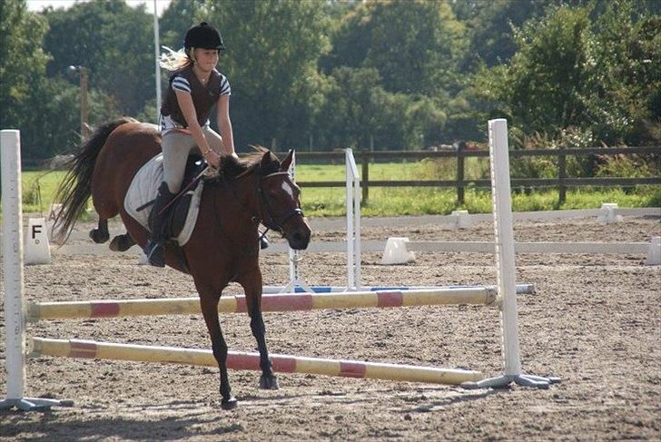 Anden særlig race Jackpot billede 12