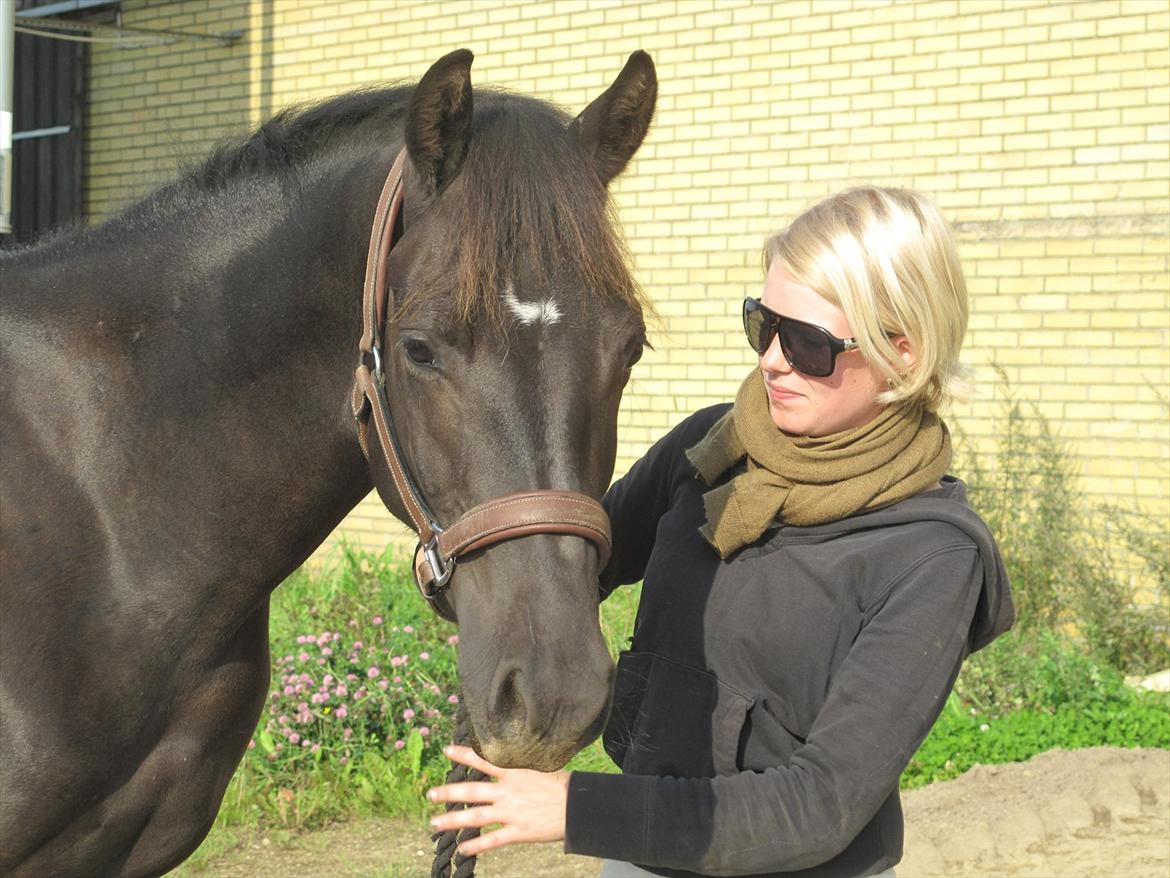 Dansk Varmblod - DSP l l Lundens Hovsa [Lundefis] - På Ryttergården, 2 år gammel. billede 19