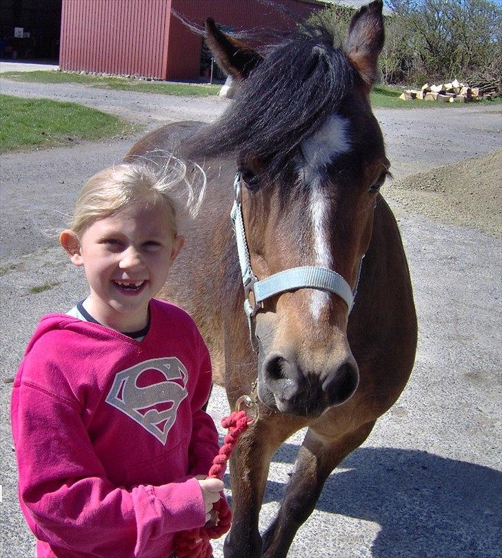 Welsh Mountain (sec A) Freja *Aflivet :'( I miss you* billede 8