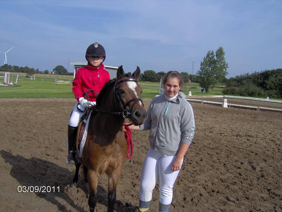 Welsh Mountain (sec A) Freja *Aflivet :'( I miss you* billede 10