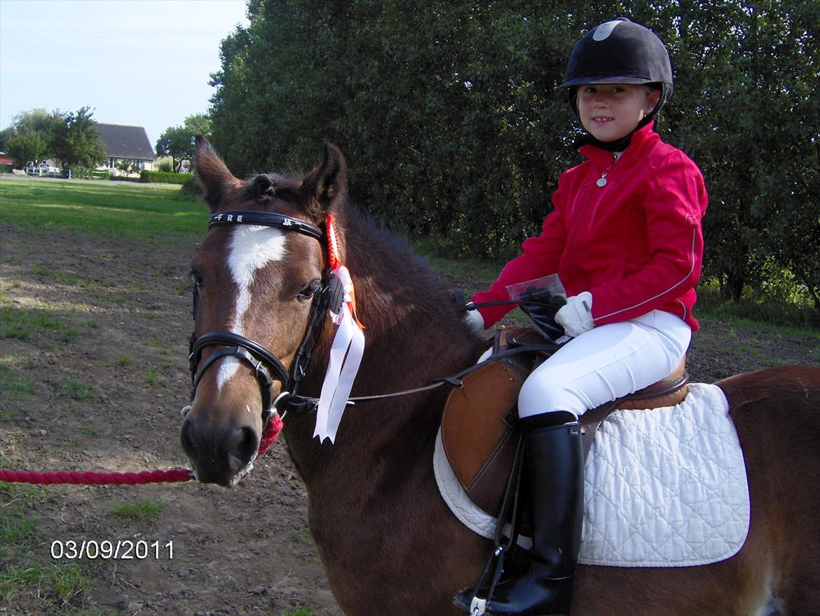 Welsh Mountain (sec A) Freja *Aflivet :'( I miss you* billede 11