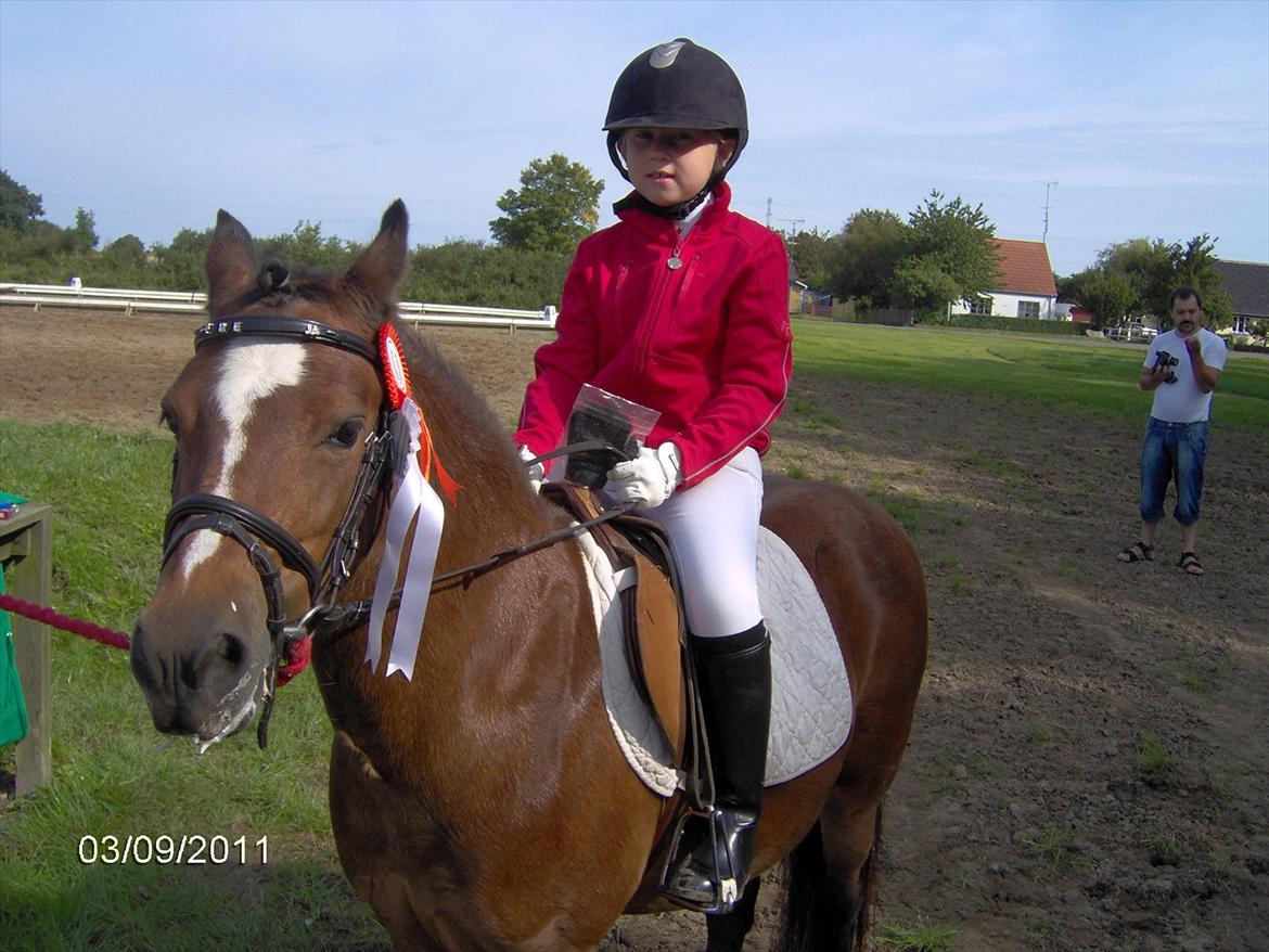 Welsh Mountain (sec A) Freja *Aflivet :'( I miss you* billede 13