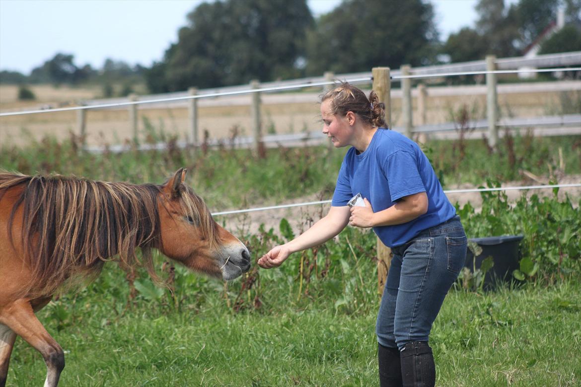 Anden særlig race Honey - (Dino-photo) billede 12