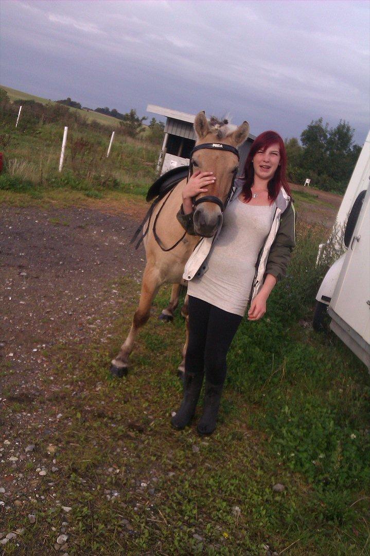 Fjordhest Frida af Tranemosen - Frida og jeg hygger, med ny pudset saddel og hovedtøj. billede 5