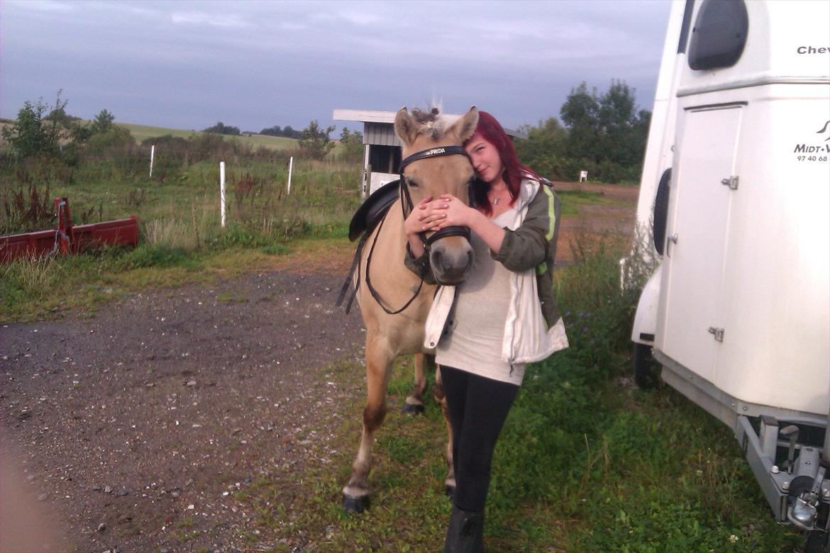 Fjordhest Frida af Tranemosen - Så smukke vi er. billede 6