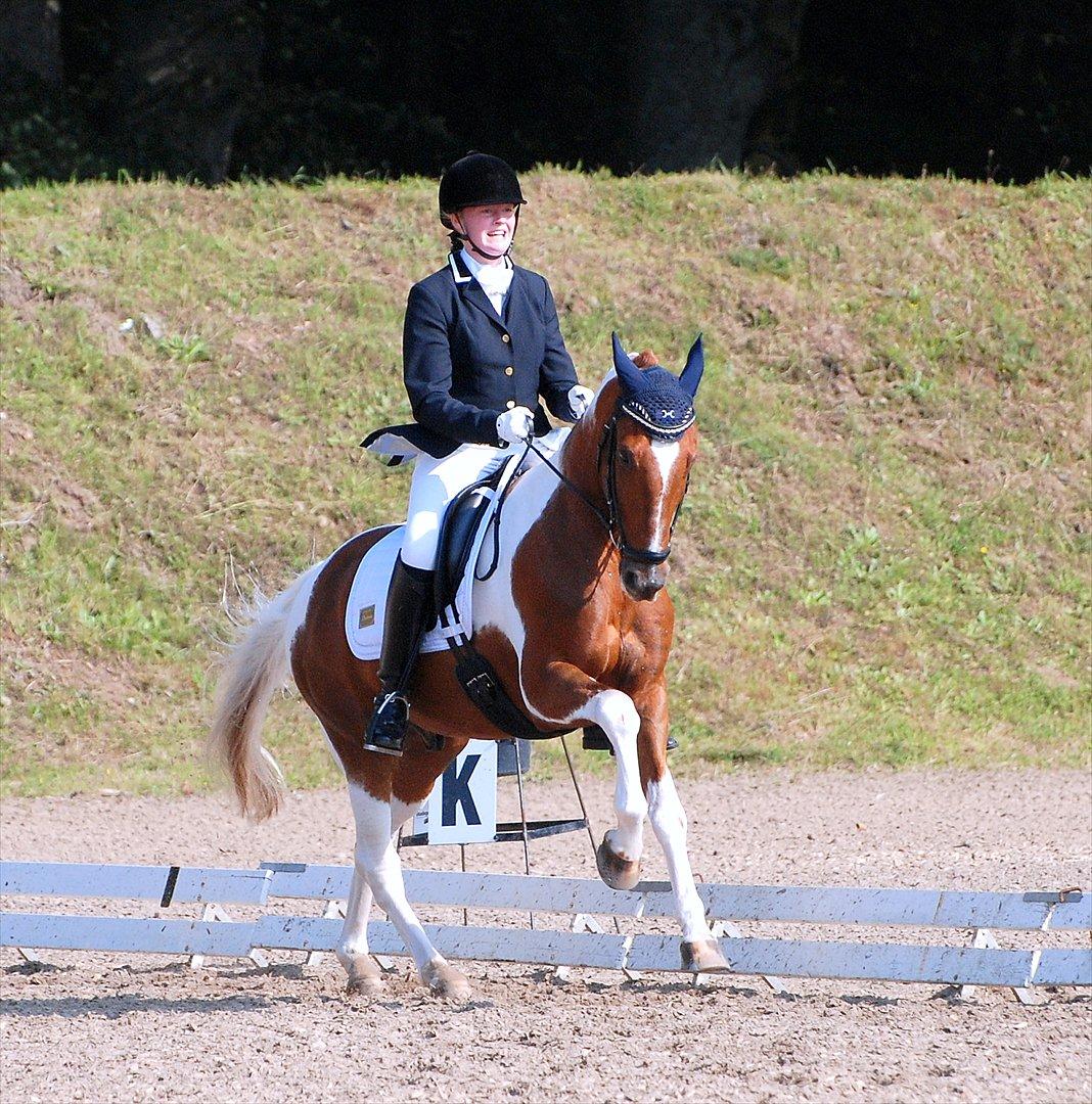 Anden særlig race Jazzo A-pony - Fuld fart frem i fri!!! 66,7% i prt til DM hold 2011 :D Foto: Michael Tækker billede 10