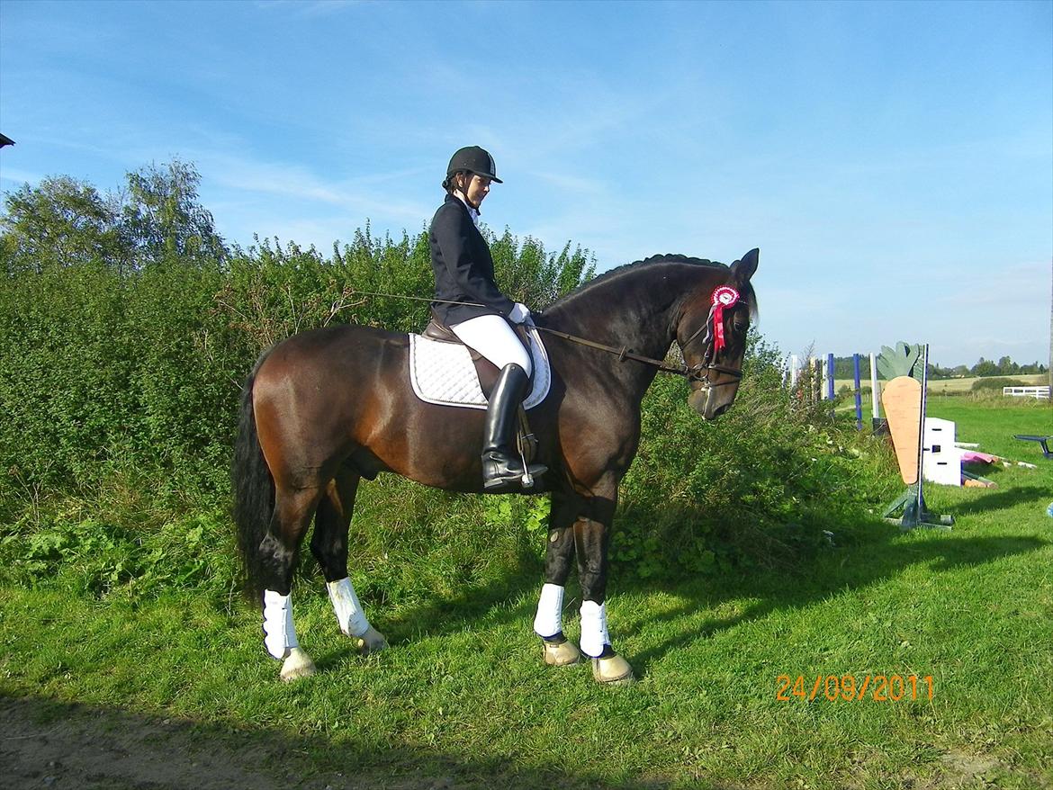 Oldenborg Palnatoke af hethe(Palle) - Her har vi vundet opvarmningsklasse 24/9-2011 billede 6