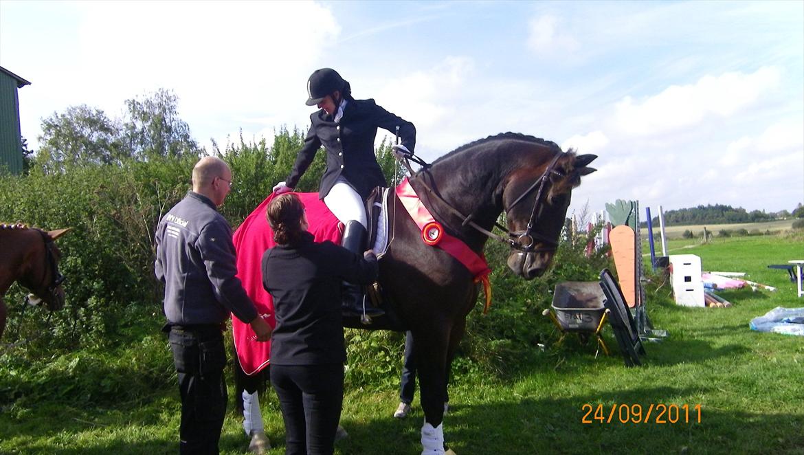 Oldenborg Palnatoke af hethe(Palle) - Palle & jeg blev klubmestre :D 24/9-2011 billede 4