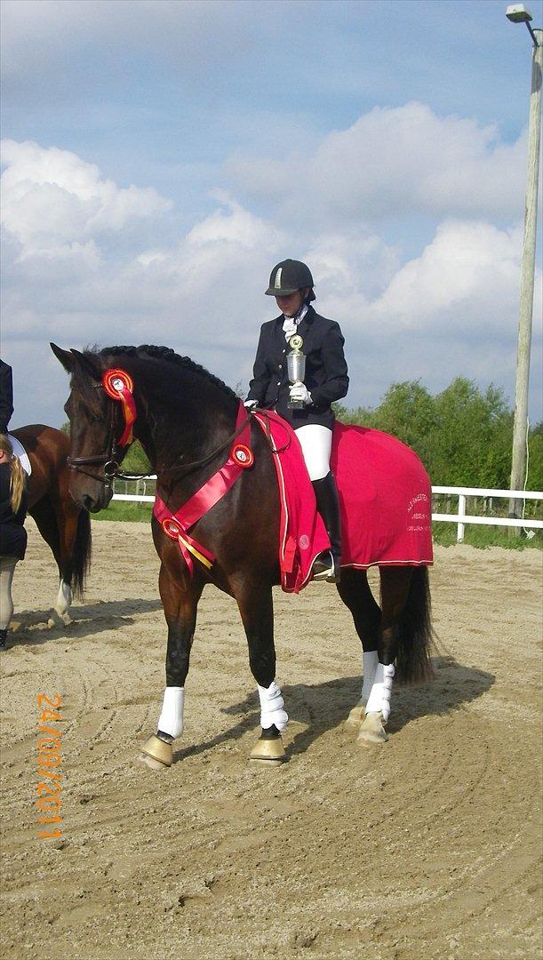 Oldenborg Palnatoke af hethe(Palle) - - Overrækkelse af præmie <3 24/9-2011 billede 5