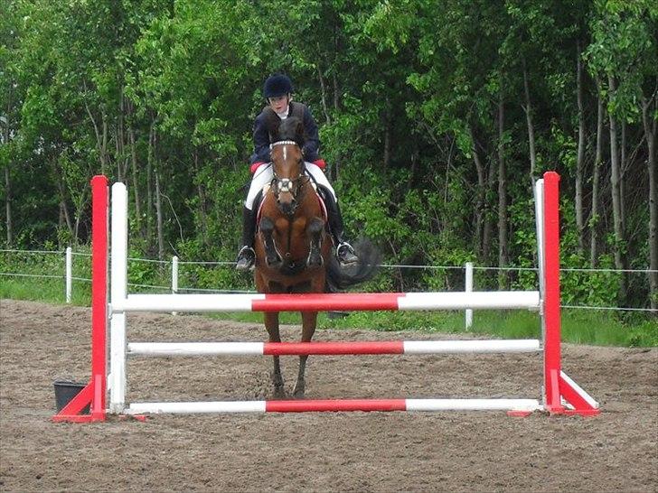 Anden særlig race Christiansejes Peanut billede 12