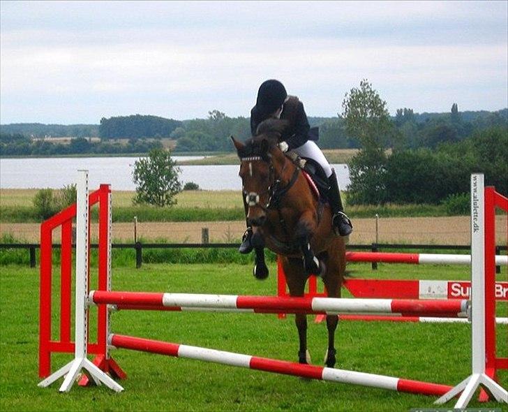 Anden særlig race Christiansejes Peanut billede 13