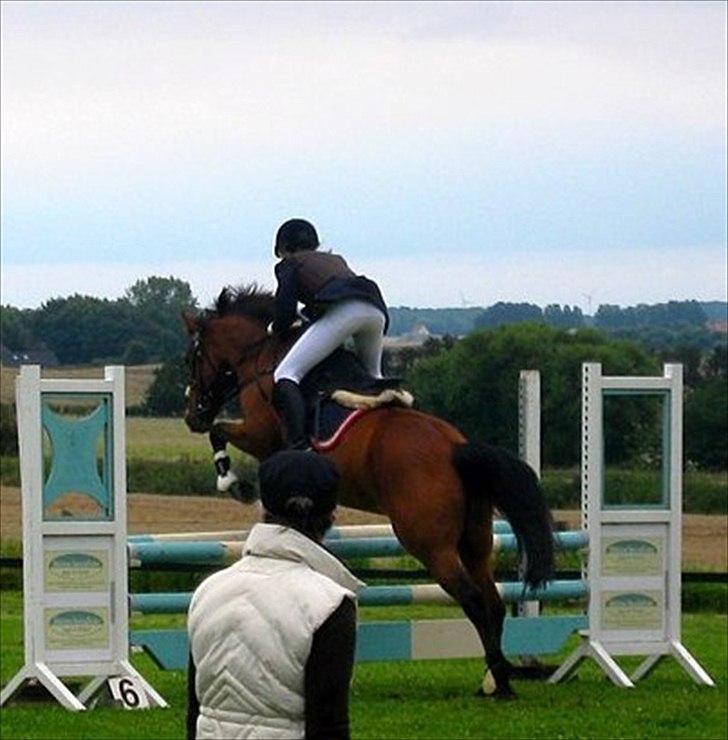 Anden særlig race Christiansejes Peanut billede 14