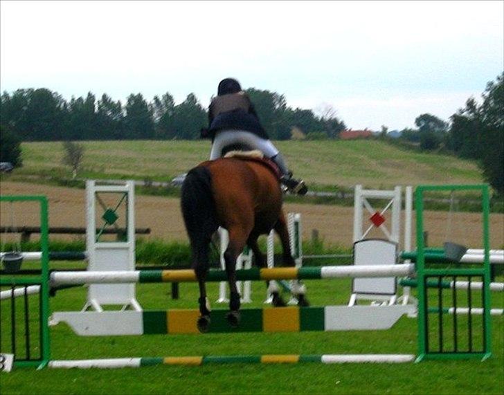 Anden særlig race Christiansejes Peanut billede 15