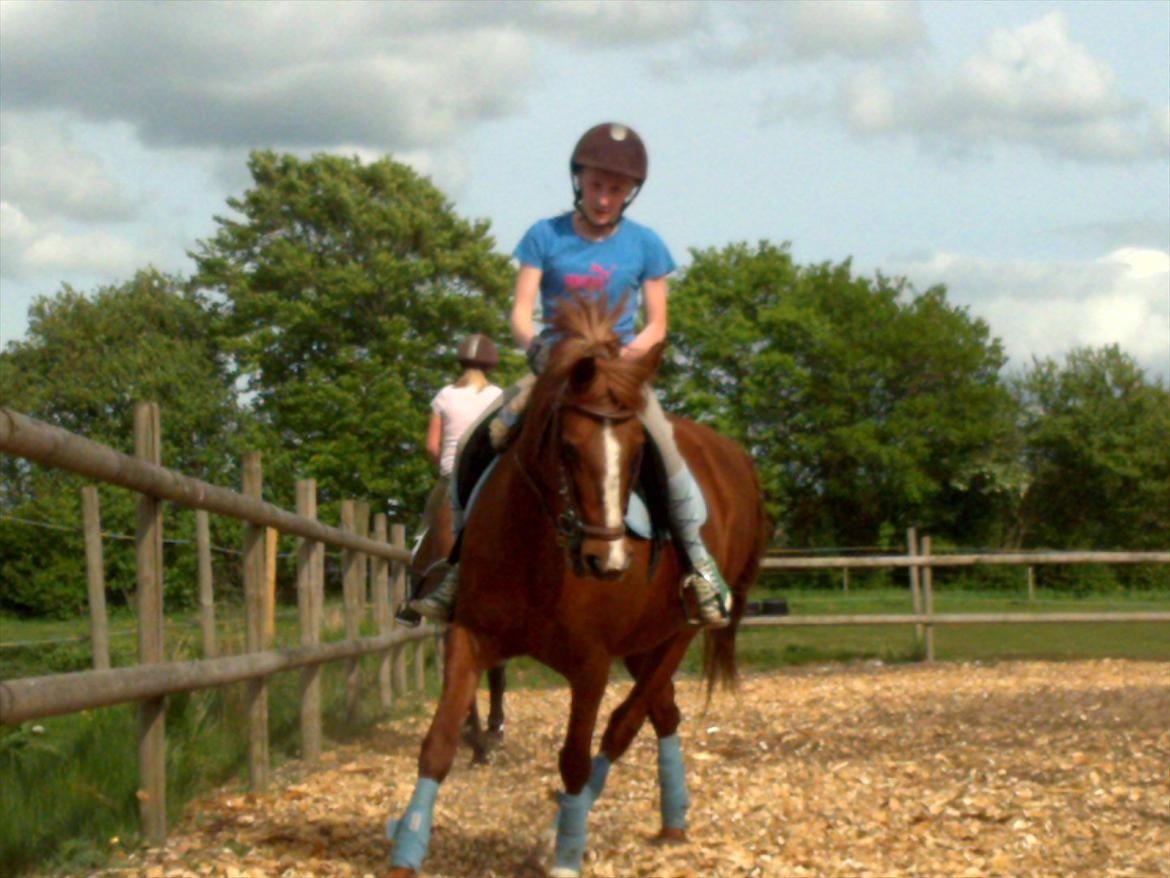 New Forest Christiansejes Coke billede 17