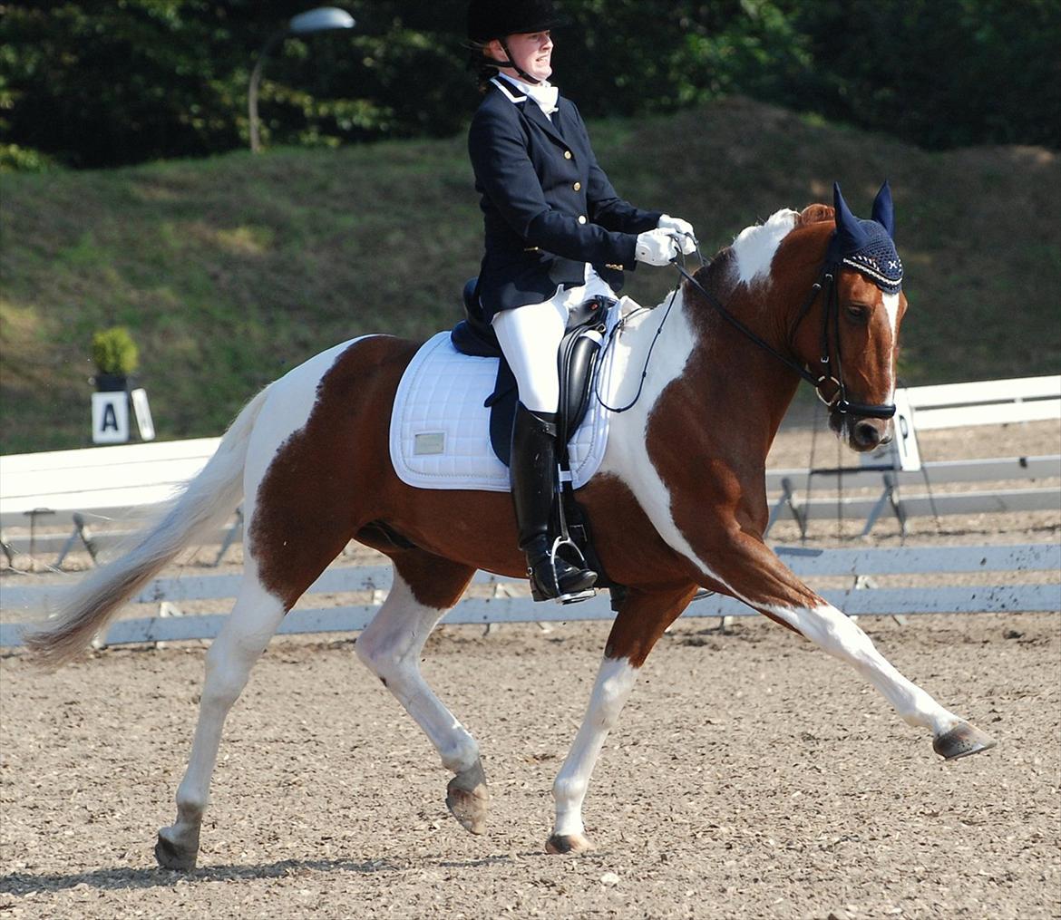 Anden særlig race Jazzo A-pony - DM hold nr. 6 :D 67% i denne prt <3 Foto: Michael Tækker billede 1