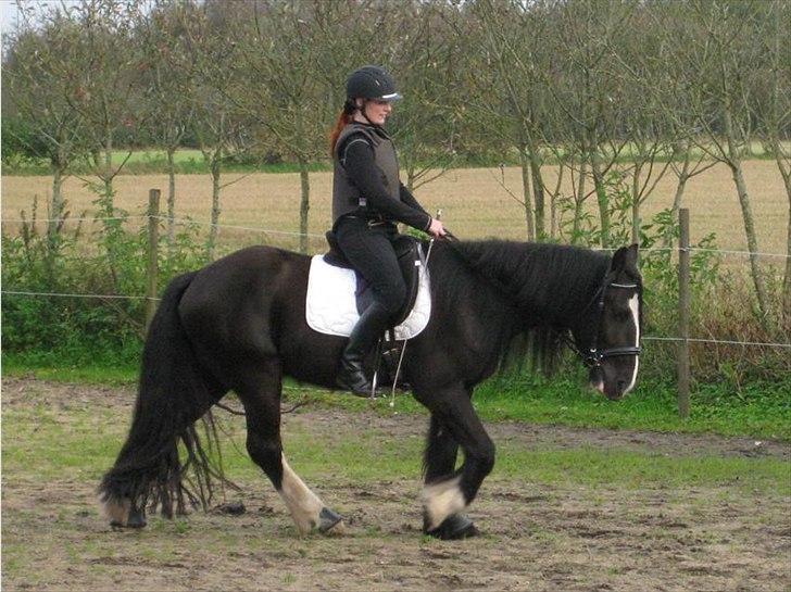 Tinker Joey Mac Nessa billede 20