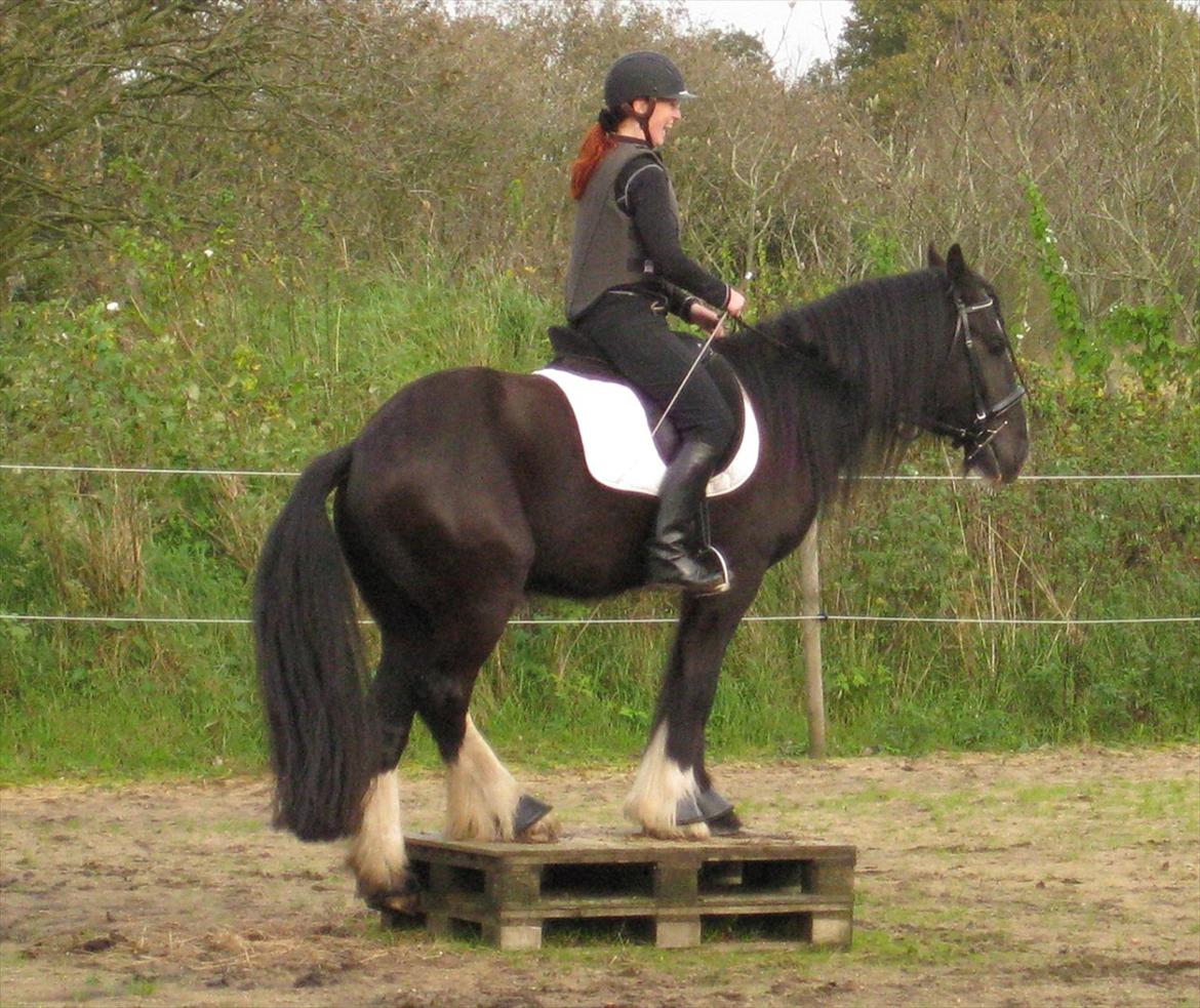 Tinker Joey Mac Nessa billede 18