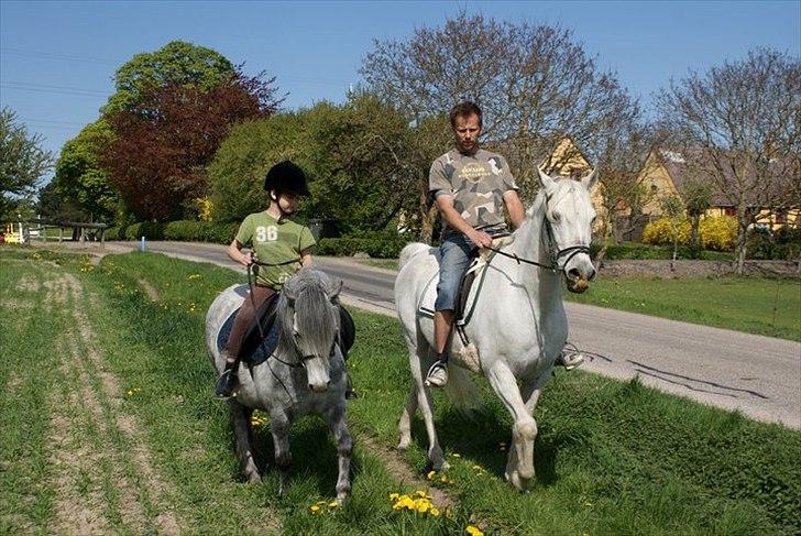 Sportsaraber (A) Al-mahallah [Part] 'R.I.P' billede 19