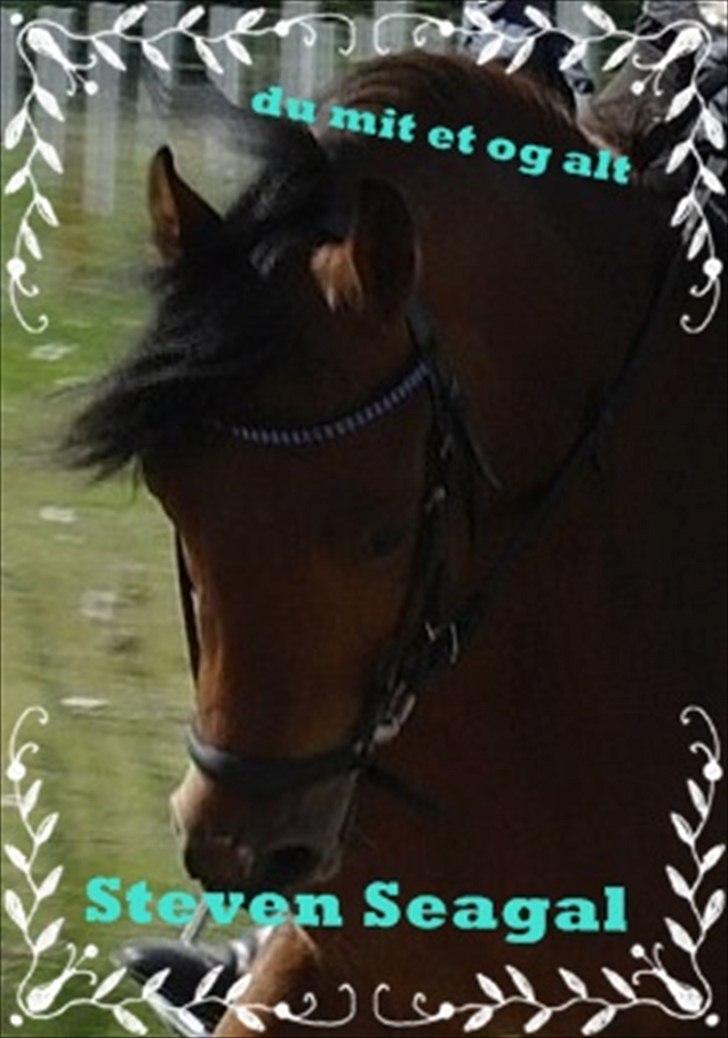 Anden særlig race Steven Seagal - Steven Seagal  billede 3