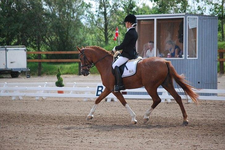 Tysk Sportspony Vanja 2 *Halv A-pony* - Ågerrupgaard Landsstævne :)))) billede 12