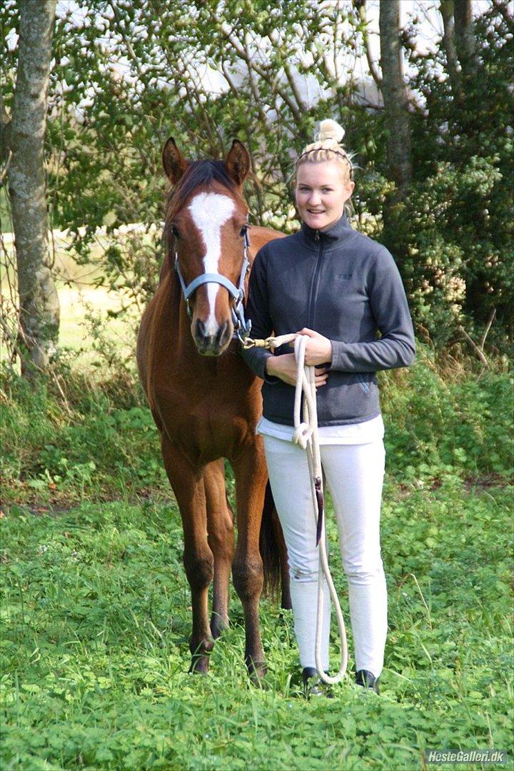 Anden særlig race Chicago - Taget af: Caroline Krabbe. billede 20