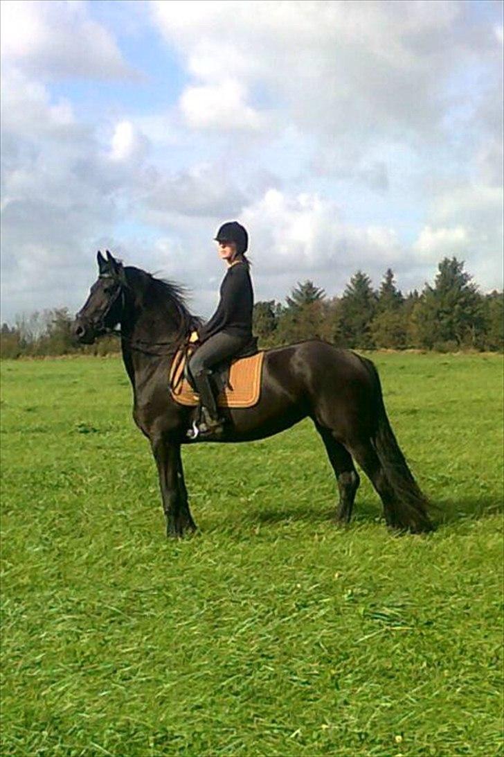 Frieser Chelly<3 billede 1