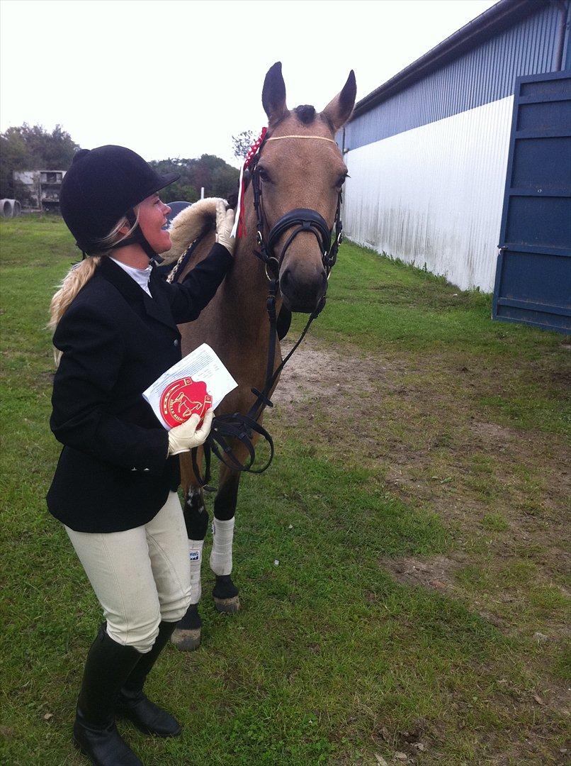 Anden særlig race Assenhøj's Bellezza - Helle Rideklub's pokalstævne -  første stævne og første program LD1 til 70 % ! billede 7