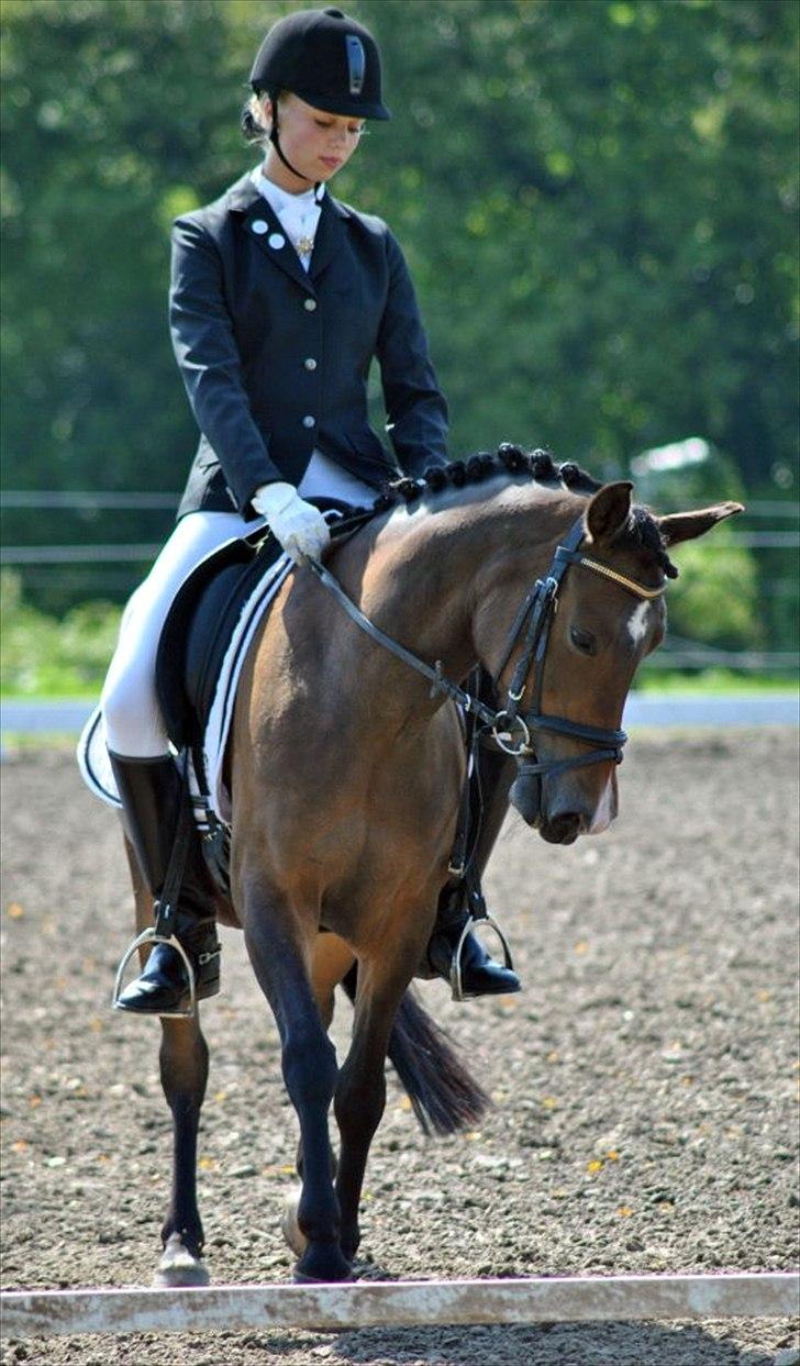 Anden særlig race Troldegårdens Bailey  - Stævne: LA1 <3 billede 14