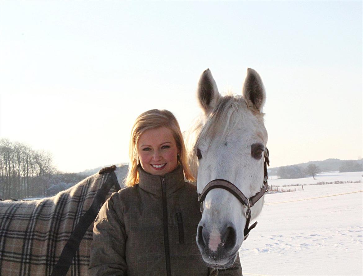 Anden særlig race Silverlea Picasso-gl.part - Dejlige snemule.<3 - december 2010 billede 14