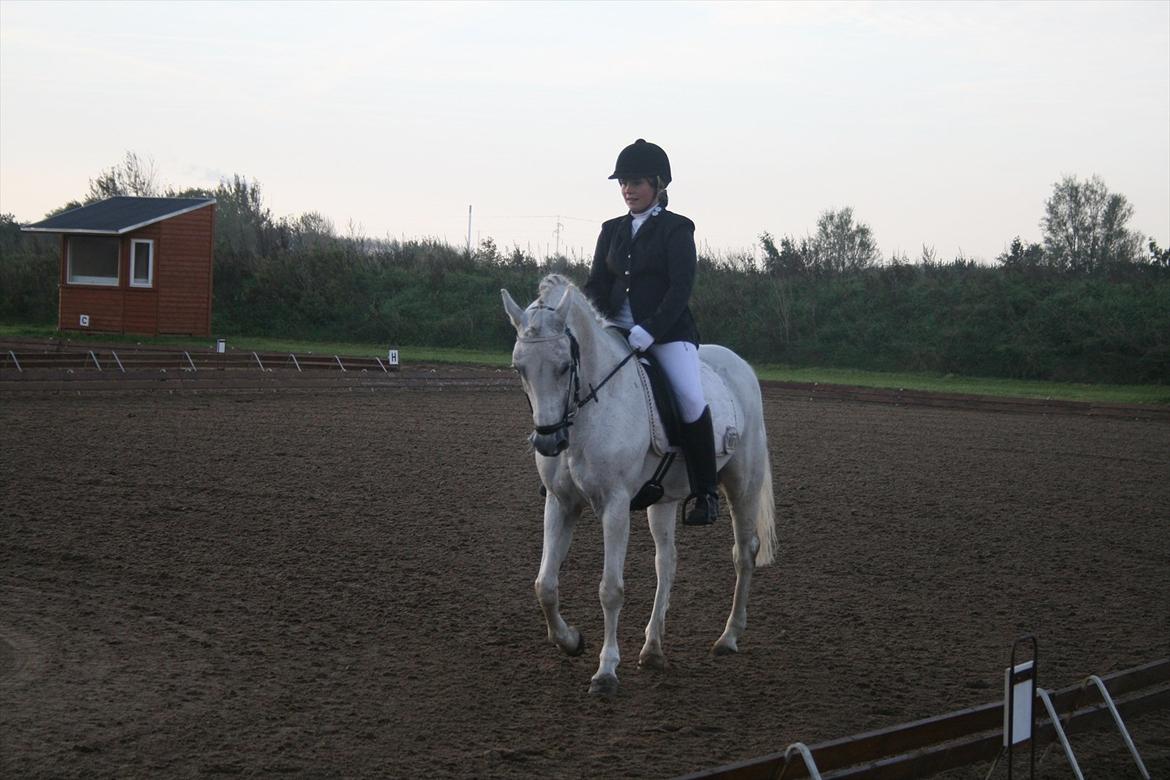 Anden særlig race Star B-PONY! billede 3