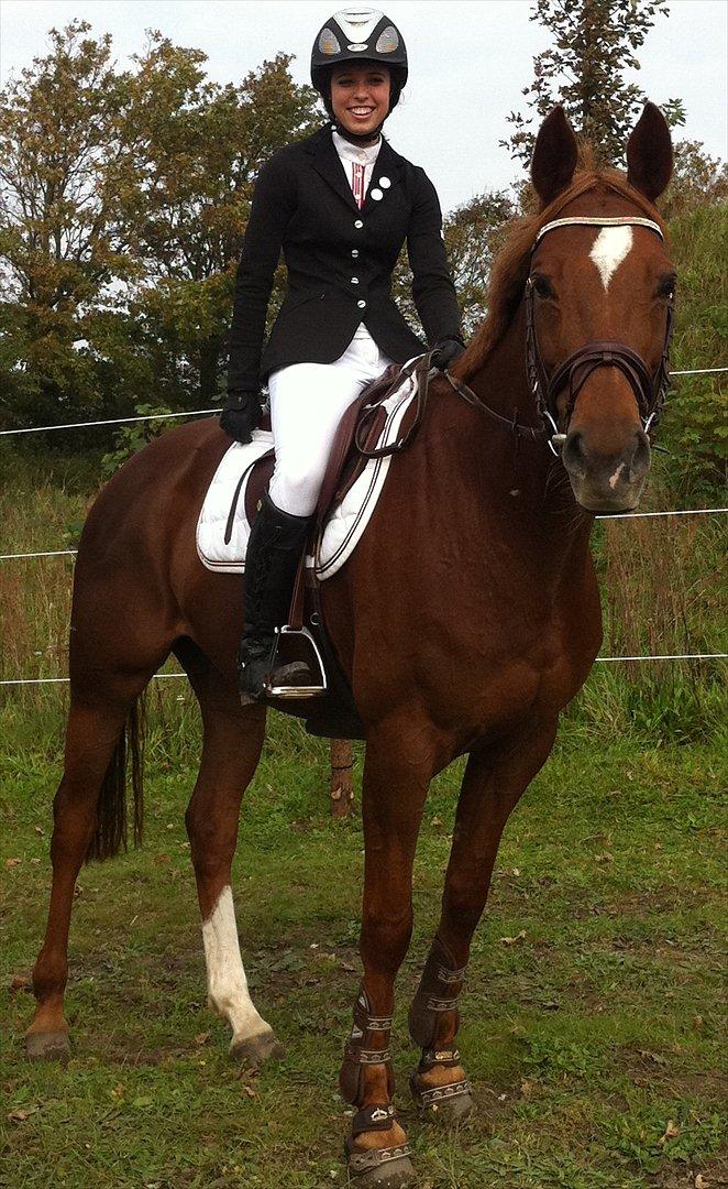 Mecklenburger Paula aka. popo/Guldklump - trænings stævne ;D verdens bedste ven<3 hvis det er det ydre og indre der betyder noget, så er du den smukkeste i Danmark <3 billede 19