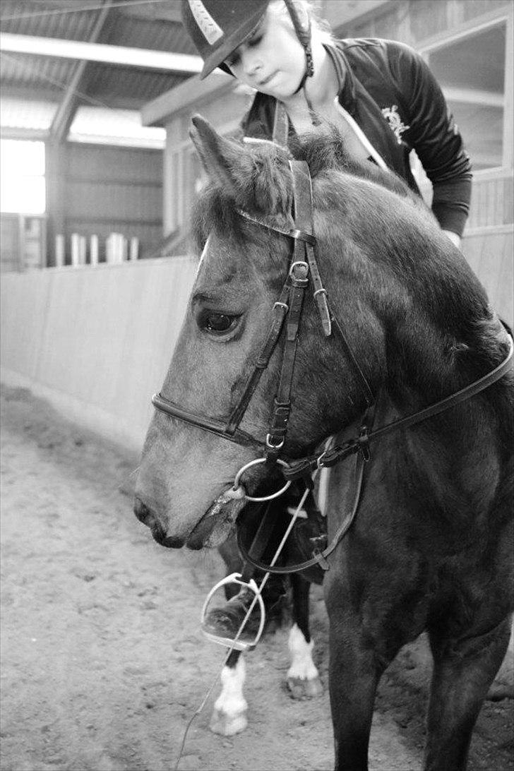 Anden særlig race Walter - <3
Taget af Mille Andersen billede 11