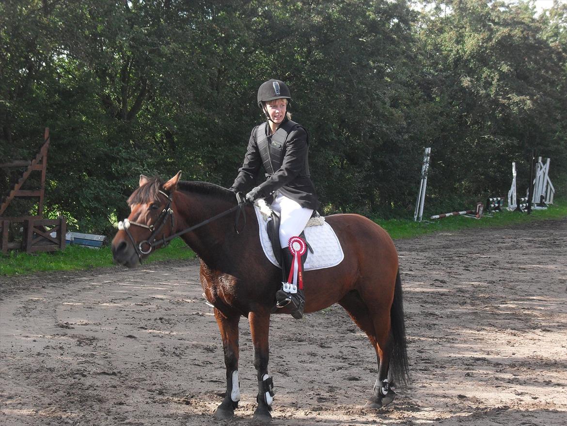 Anden særlig race Flika billede 12