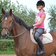 Anden særlig race Campados 