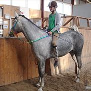 Anden særlig race Aziz sabah, mistet, savnet, elsket! 