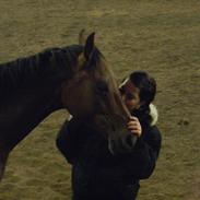 Holstener Pantene Pro-V