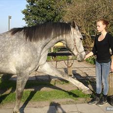 Anden særlig race Aziz sabah, mistet, savnet, elsket! 