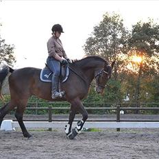 Anden særlig race Merlot R.I.P <3