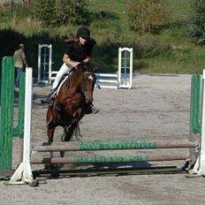 New Forest Moonlight    (rider)