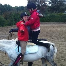 Welsh Mountain (sec A) Gribsvad Niros