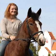 New Forest Primakov <3 R.I.P. 27/10 2011