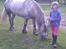 Fell pony Lundesdale Paddy - Bedste venner :) Gør klar til at skulle ud at ride.