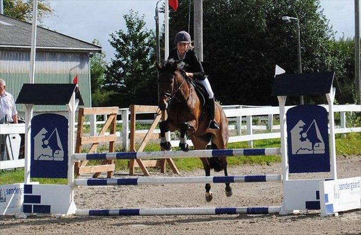 Anden særlig race Farmens Asterix - LB** på Helsinge :) billede 7