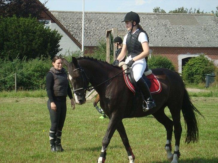 Holstener Jasmin billede 12