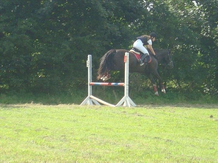 Holstener Jasmin billede 13