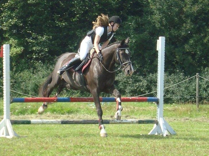 Holstener Jasmin billede 14